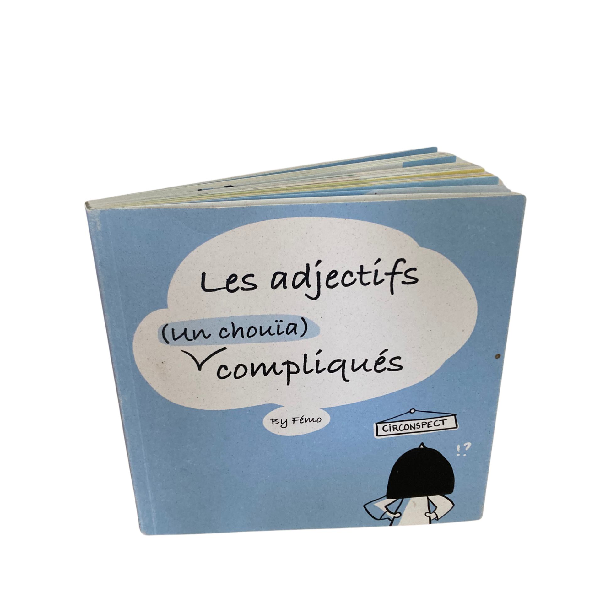 Dico des adjectifs un chouïa compliqués