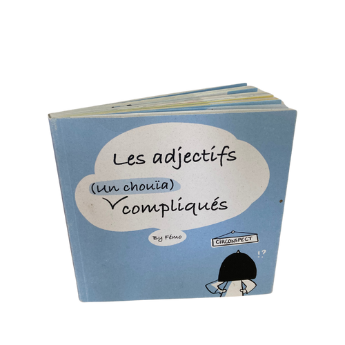 Dico des adjectifs un chouïa compliqués
